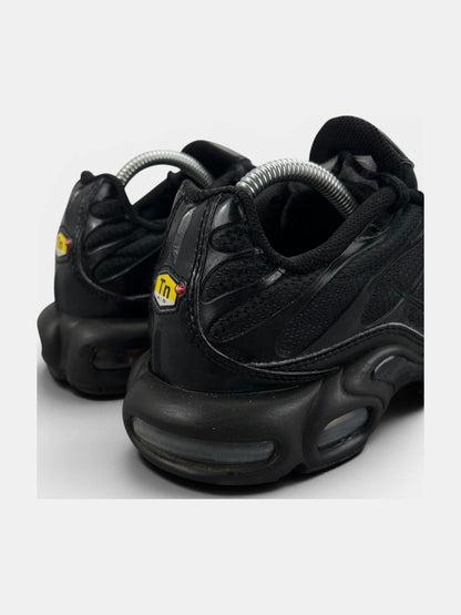 Nike Air Max Plus (TN) rozmiar 42