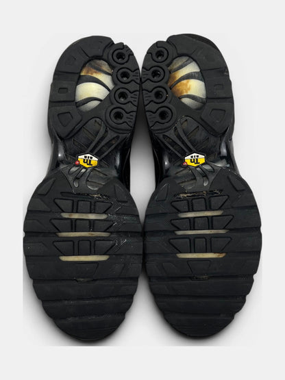 Nike Air Max Plus (TN) rozmiar 42