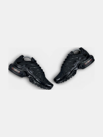 Nike Air Max Plus (TN) rozmiar 41