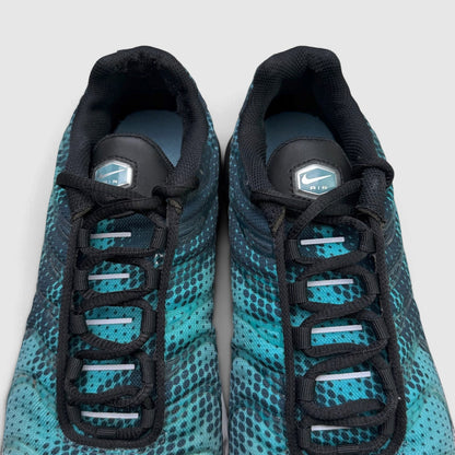 Nike Air Max Plus Black Dusty Cactus, buty sportowe męskie w bardzo dobrym stanie rozmiar 41, język buta