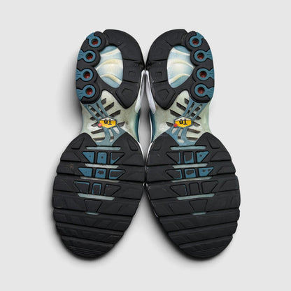 Nike Air Max Plus Black Dusty Cactus, buty sportowe męskie w bardzo dobrym stanie rozmiar 41, podeszwa