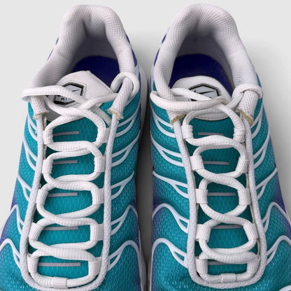Nike Air Max Plus Aqua, buty sportowe męskie w bardzo dobrym stanie rozmiar 42.5, detal
